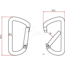 Zubehörkarabiner Accessory D Straight