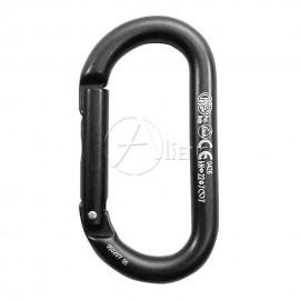 Karabiner Oval Alu Straight Gate