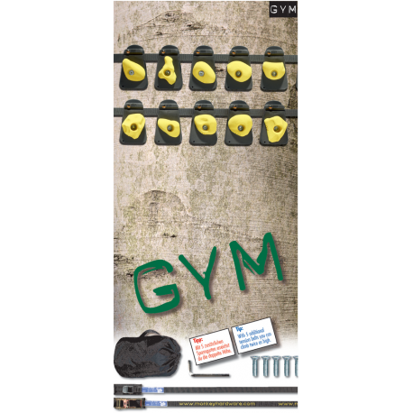 Monkey Set Gym