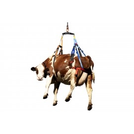 Kuh- und Pferdetransportgurt BERTA